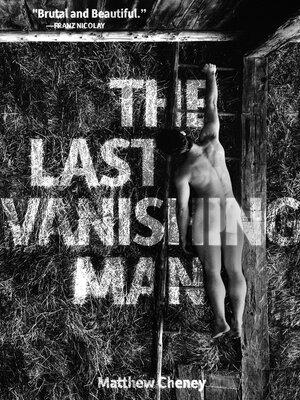 cover image of The Last Vanishing Man and Other Stories